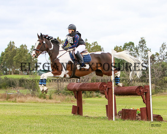 ZJD-2169
