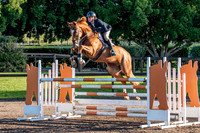 Waratah SJ - Ring 2 - SIEC Arena 2