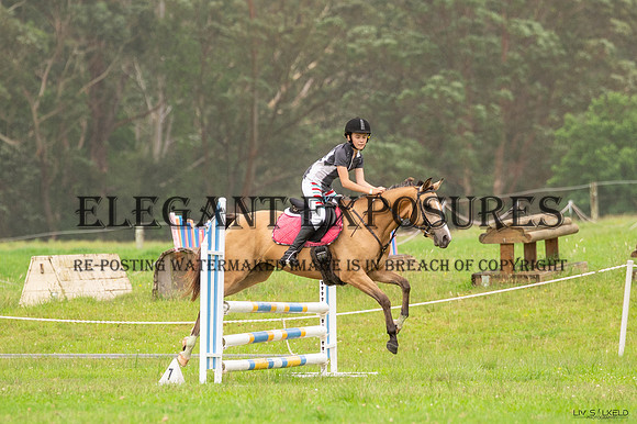 OLS_6528