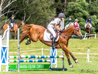 Showjumping