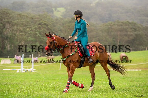 OLS_5905