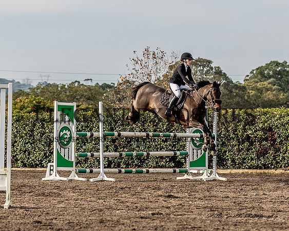 MAS-0401