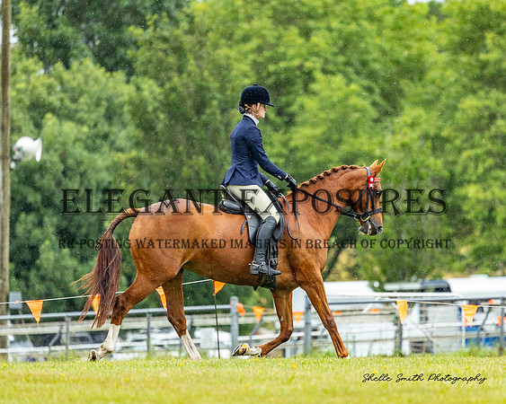 MAS_1303