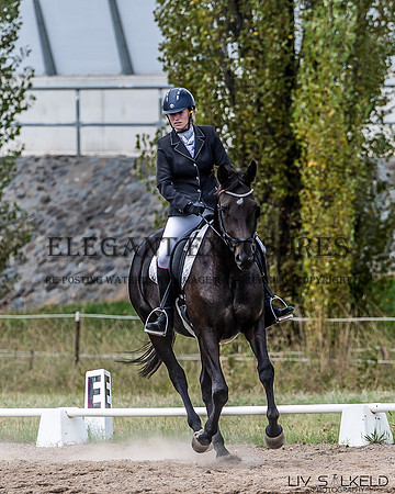 OLS_0441