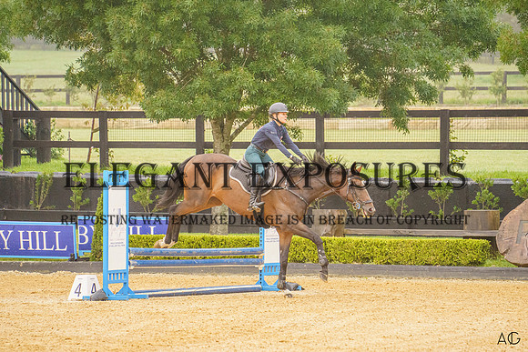 _AJG4377