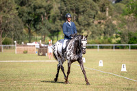 OLS_1196
