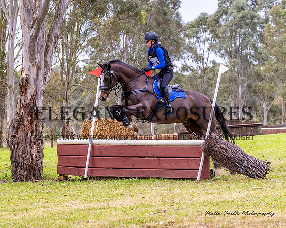 MAS_9129