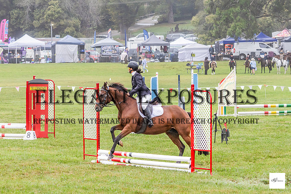 KAT-9749