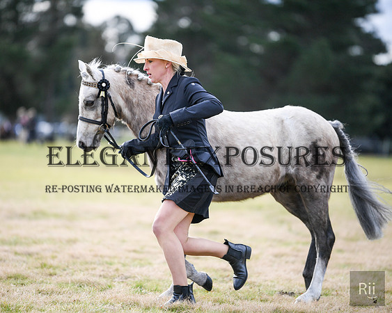 RII_1573