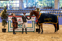 W/WC/SJ - Sat - Ring 1 - Class 22 - Grand Prix  - 17.08.2024
