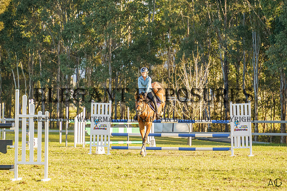 _AJG2642