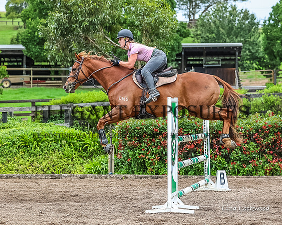 LHL(MS)-9689