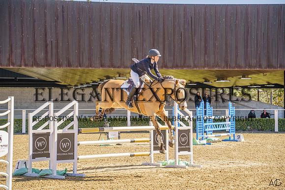 _AJG2012