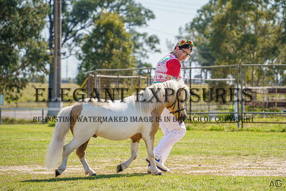 _AJG2146