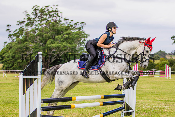 KMS-6564