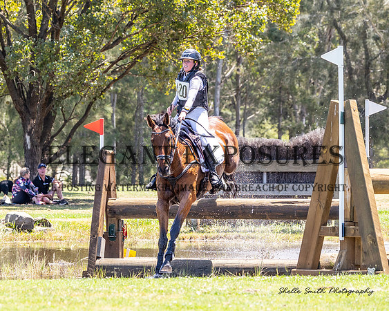 MAS_8066