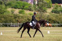 OLS_1374