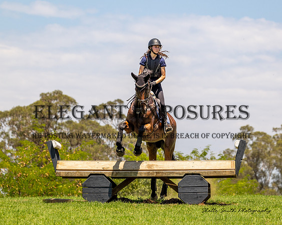 MAS_2577