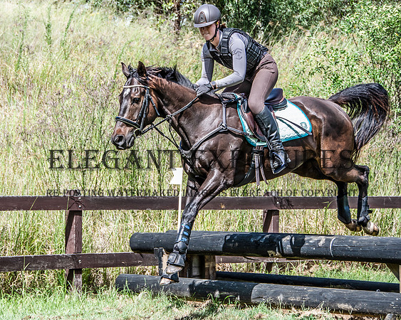 NYK-2130