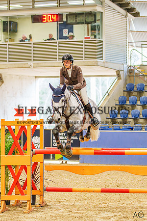 _AJG2015-Enhanced-NR