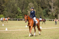 OLS_1431