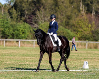 Equestriad - Dressage - CD15 - 17.05.2025