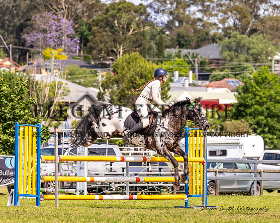 MAS_9204