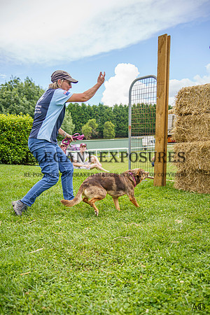 _AJG6872