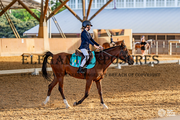 HM_4034