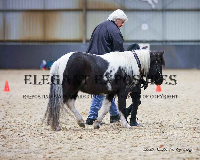 Elegant Exposures | AMHS - Winter - Classes 1-19 30.06.2024