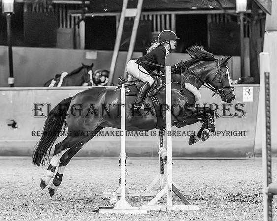 MAS-334