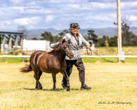 TSPS - Luddenham - Ring 2 02.02.2025