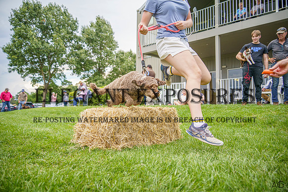 _AJG6732