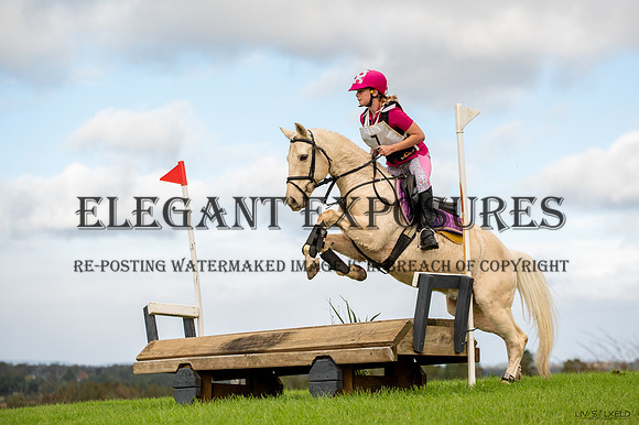 OLS_3419