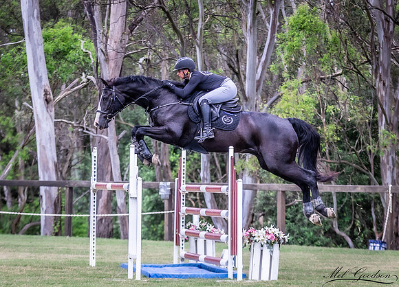 Waratah Showjumping MKG_2997