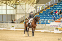 FEI Under 25 Grand Prix - QSEC - 20.07.2024