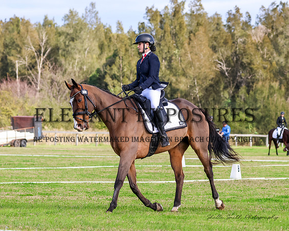 MASX3747
