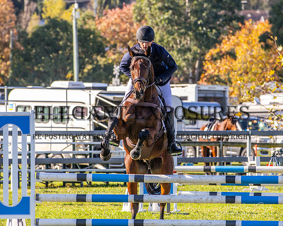 KMS-17