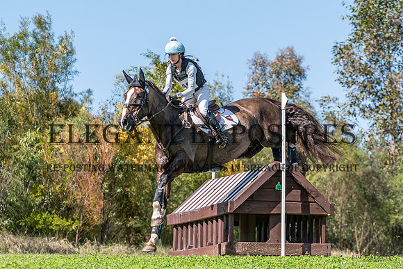 OLS_0981