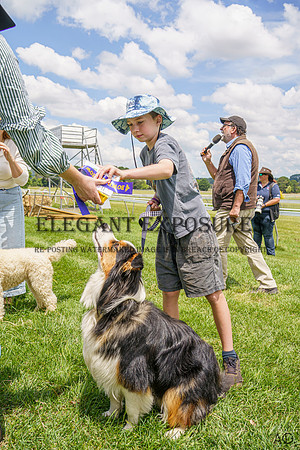 _AJG6531