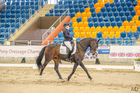 FEI Young Rider Team Test - QSEC - 20.07.2024