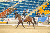 _AJG3743