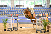 OLS_0631