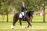 Dressage 18.05.2024