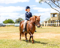 TSPS - Luddenham - Ring 1 02.02.2025