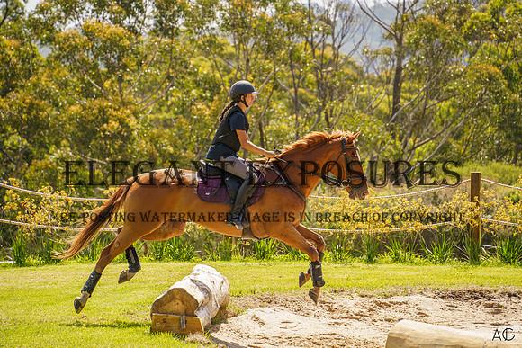 _AJG3594