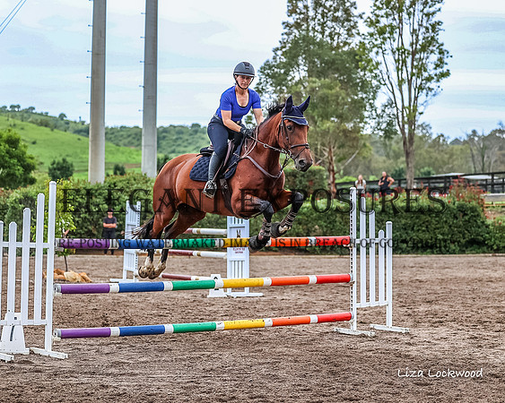 LHL(MS)-9649