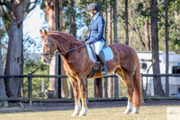 KAT-10137