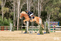 W/SJ - Ring 3 - Saturday - Class 25 A/B - 90cm - 16.08.2025