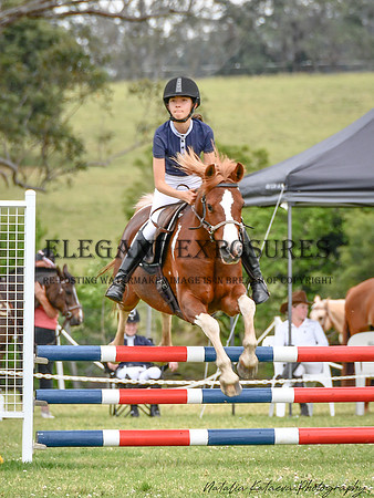 NYK_8187